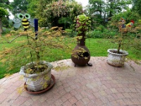 20210612 0201 : Onze tuin