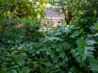 202206023280 : Onze tuin