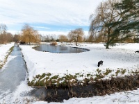 20210214 0024 : Lozen, Wandelingen