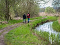 20210502 0022 : Plaatsen, Belgie, Hamont-Achel, Beverbeekse Heide, Wandelingen, Beverbeekse Heide gele route