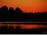 Leenderheide 20070530 07