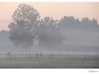 De Luysen zonsopgang 2 : De Luysen