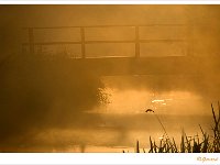 De Luysen zonsopgang 5 : De Luysen