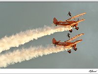 20100917 127  Breitling Wingwalkers : Sanicole