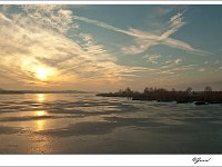 20101206 0003  Ringselven : Budel