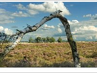 Natuur