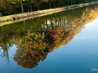 Herfstweerspiegeling : Kanaal