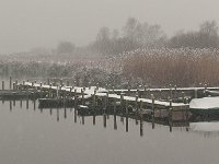 Ringeselven tijdens een sneeuwbui : Ringselven