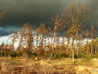 Dreigende lucht : Leenderheide