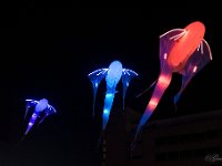 GLOW Eindhoven 5 : Glow 2013