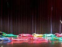 Pas de Deux 1 : Pas de deux