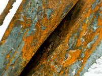 Roest : Rangeergebied