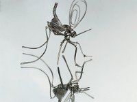 Spiegelbeeld : Allerlei