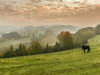 20151013 0031  Vroege ochtend omgeving Malmedy : Ardennen, Malmedy