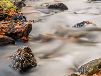 20151104 0213  De Hoëgne : Ardennen, La Hoegne