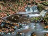 20151104 0292  De Hoëgne : Ardennen, La Hoegne