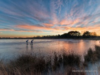 20170120 0068 1  Leenderheide : Leenderheide