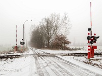 20170124 0007 De Hees hamont