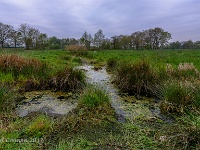 20170421 0023 Achterhoek : Achterhoek