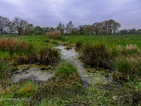 20170421 0023  Achterhoek : Achterhoek