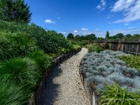 20170730 0016  Lavendelhoeve Stokrooie : Lavendelhoeve, Hasselt