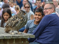 20170802 0390  Falconcrest Valkerij Eindhoven : Falconcrest Valkerij Centrum Eindhoven