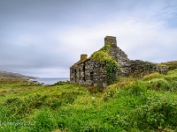 20170926 0940  Gartnaktilly County Cork Ierland : Ierland 2017