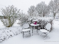 20171210 0008  Een witte kerst? : Onze tuin