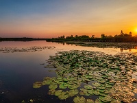 20180723 0035-HDR  Ringselven Budel. : Budel, Nederland, Plaatsen, Ringselven