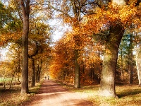 20181114 0001  Herfst bij de Waag Hamont. : De Waag