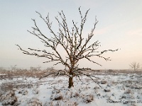 20190123 0012  Leenderheide : Leenderheide