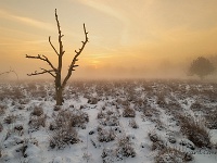 20190123 0038 1  Leenderheide : Leenderheide