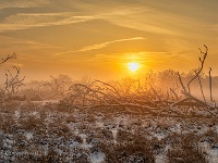 20190123 0071 1  Leenderheide : Leenderheide