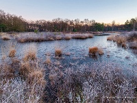 20190215 0010  Leenderheide : Hageven