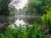 20190501 0001 1  Bokrijk Arboretum : Bokrijk