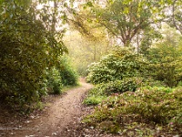 20190501 0100  Bokrijk Arboretum : Bokrijk