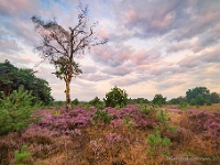 20190816 0084-HDR  Leenderheide : Leenderheide, Nederland, Plaatsen, Valkenswaard