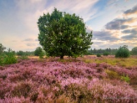 20190816 0105-HDR  Leenderheide : Leenderheide, Nederland, Plaatsen, Valkenswaard