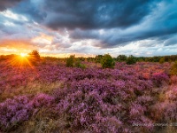 20190818 0082-HDR  Leenderheide