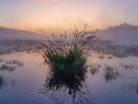 20190823 0054 1-HDR  De Teut Zonhoven : Belgie, De Teut, Plaatsen, Zonhoven