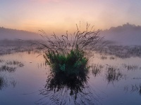 20190823 0054 1-HDR  De Teut Zonhoven : Belgie, De Teut, Plaatsen, Zonhoven