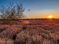 20190829 0024-HDR  Leenderheide : Leenderheide, Nederland, Plaatsen, Valkenswaard