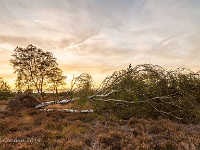 20191024 0082-HDR  Leenderheide : Leenderheide