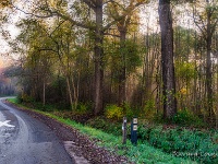 20191120 0020  Herfssfeer in het Verkensbos Hamont : Wandelingen