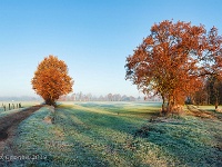 20191204 0006  Winter op de Winter : Wandelingen