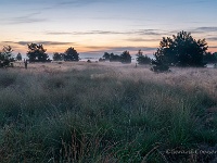 20200818 0019-HDR  Leenderheide